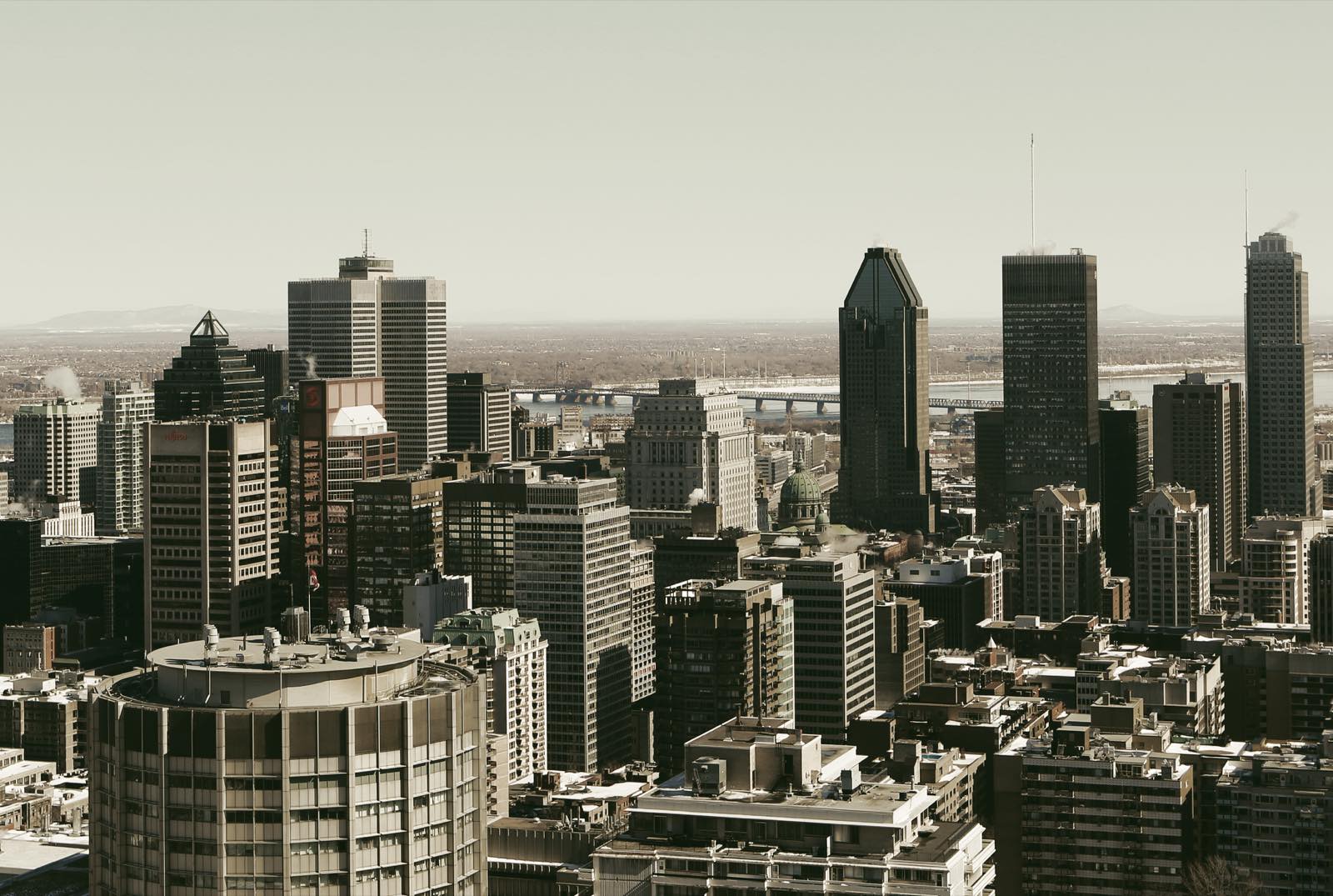 Montréal city skyline seen from Mont Royal, showing downtown skyscrapers against a clear sky